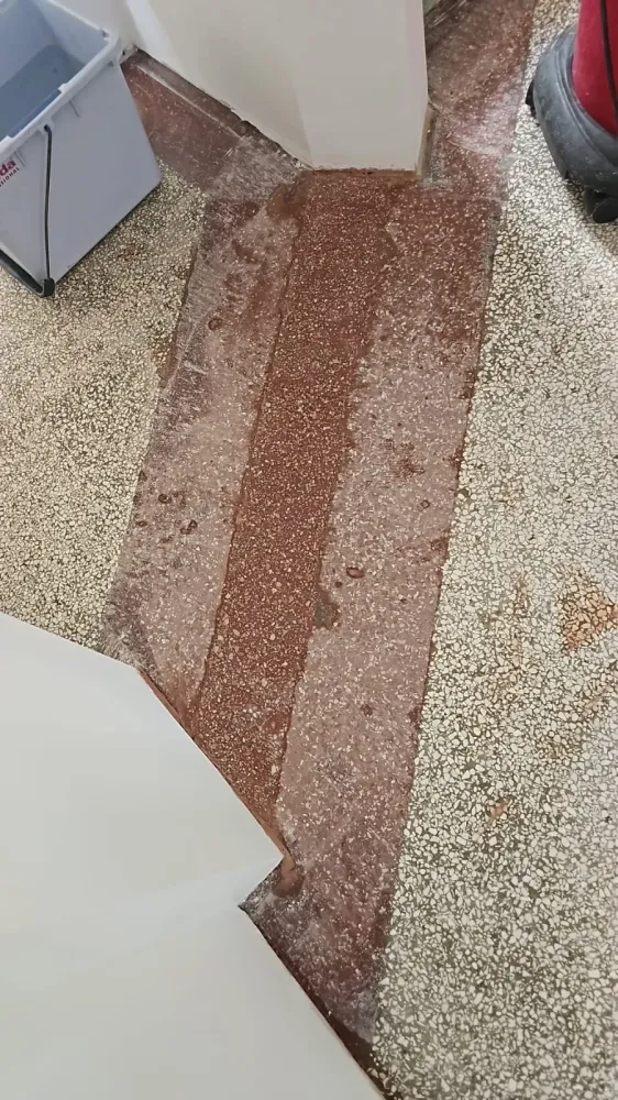 eraclean (10)