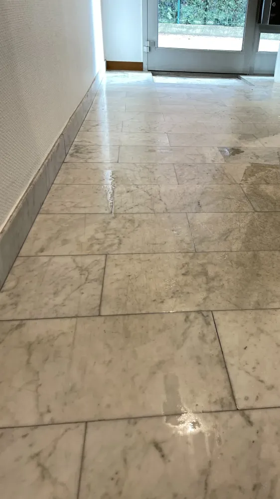 eraclean (1)